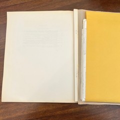USGS Professional Paper 848-A Amsden Formation Geology Wyoming 1975 Maps Sando