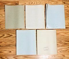 Lot United States Geological Survey Professional Paper USGS Geology Paleontology
