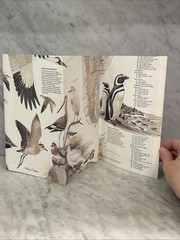 Vintage National Geographic Bird Migration Americas Northeast USA Fold Map 1979
