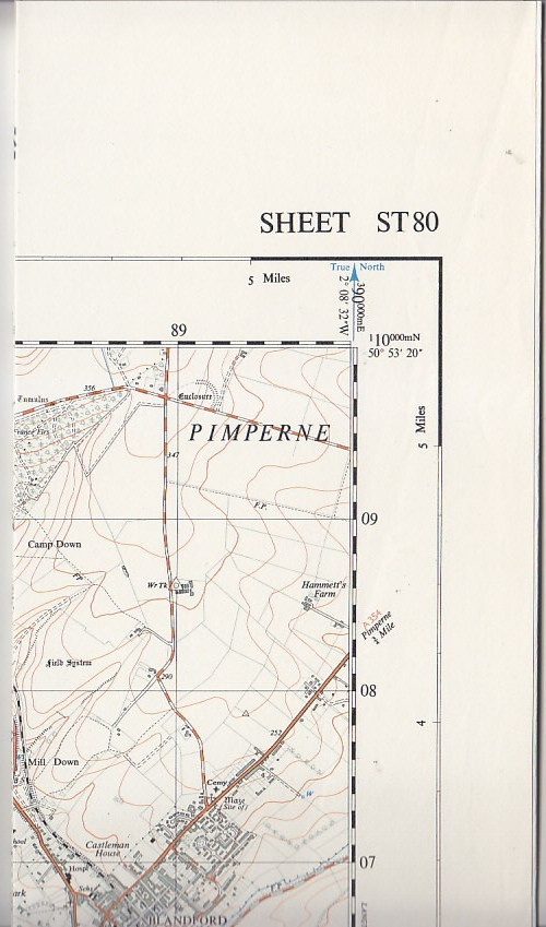 Ordnance Survey 1:25,000 First Series Map Sheet ST 80 Blandford Forum