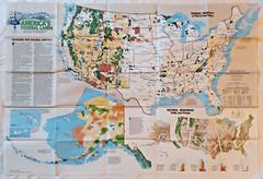 AMERICAS FEDERAL LANDS National Geographic September 1982 Educational Map Poster
