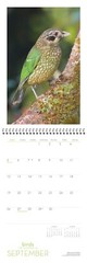 2021 Birds of Australia Wall Calendar- CLIFFORD B. FRITH & DAWN W. FRITH