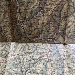 Reliefkarte des Schwarzwaldes 1:200,000 J. Frey c1930 (map of Black Forest)