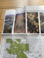 LOS PADRES NATIONAL FOREST MAP – Vintage Map 1984