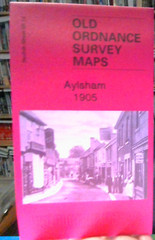 MAP OF Aylsham 1905 Norfolk Sheet 28.14 by Christopher Joby NEW 9781787216143