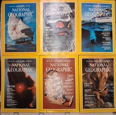 1982 National Geographic Magazine Full Year ~ 12 Issues ~ Good Condition