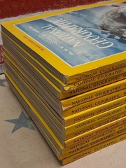 1984 National Geographic Magazine Full Year ~ 12 Issues ~ Good Condition
