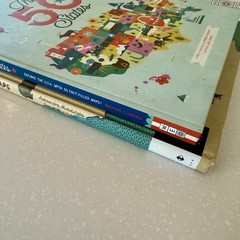 Homeschool Map Book Set The 50 States (Wide Eyed) + Maps (Big Picture Press) NEW