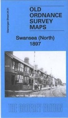 Swansea (North) 1897: Glamorgan Sheet 24.01 by Steph Mastoris Folded Book