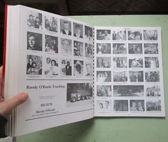 1988 Wood County Wisconsin atlas w/directory, photos, history