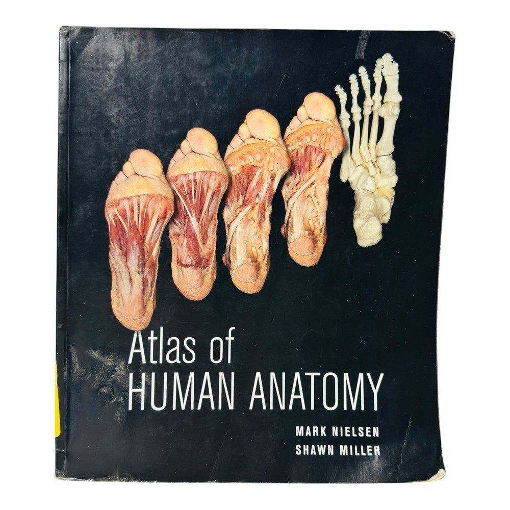 Atlas of Human Anatomy Mark Nielsen Shawn Miller Medical Textbook
