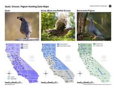 California 2024 – 2025 Hunting Atlas