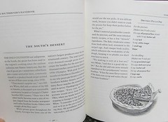 The Southerner’s Handbook by DiBenedetto David
