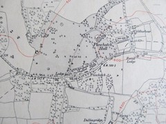VINTAGE OS MAP THE PLAWHATCH AREA SUSSEX 1911 EDITION – SIX INCHES TO ONE MILE