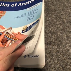 Atlas of Anatomy Third Edition Thieme Paperback Anne Gilroy Brian MacPherson