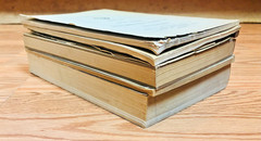 Lot 5 Canada Department of Mines Geological Surveys Paleontology Geology Vintage