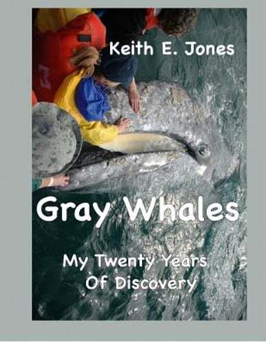 Gray Whales My Twenty Years Of Discovery by Keith E Jones: New