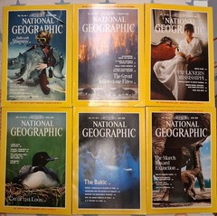 1989 National Geographic Magazine Full Year ~ 12 Issues ~ Good Condition