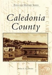 Caledonia County by Dolores E. Chamberlain (English) Paperback Book