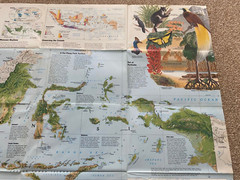 National Geographic Map Indonesia February 1996
