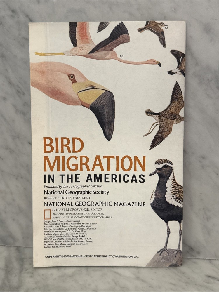 Vintage National Geographic Bird Migration Americas Northeast USA Fold Map 1979