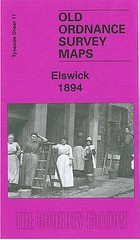 MAP OF Elswick and Dunston Riverside 1894: Tyneside Sheet 17 by Roy Young NEW