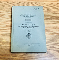 Lot 5 Canada Department of Mines Geological Surveys Paleontology Geology Vintage
