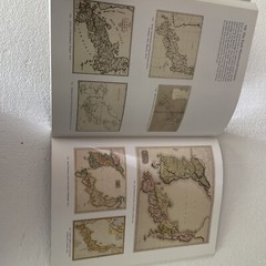 Japan : A Cartographic Vision Softcover Lutz Walter