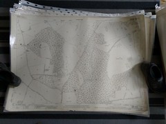 4 X Ordnance Survey 1:2500 Laminated Sheets, Hampshire, 1900, 1900, 1924 & 1925