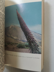 The Canary Islands; Mythical, Historical, Present; Yann Evan; Vintage; VG