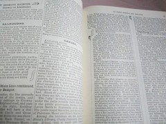 Bradshaw’s Handbook: 1861 railway handbook of Great Britain and Ireland by Georg