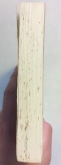 Traveler’s Reading Guides 1981 Softback Maggy Simony GnuReads
