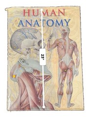 Human Anatomy Oversized Hardcover Book Coffee Table Medical Atlas 16.5” x 23”