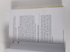 Lot Of 2 The Worst Case Scenario Survival Handbook: Travel J. Piven, D. Borgen