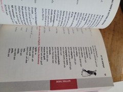 Frommer’s Italian Phrasebook and Culture Guide by Stephen Brewer 2006 pb