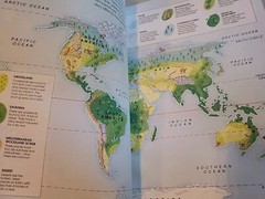Picture Atlas of the World, Ladybird Books 1992 Paperback. 45 Pages