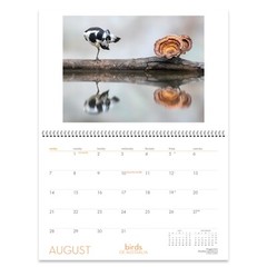 2022 Birds of Australia Wall Calendar – RAOUL SLATER