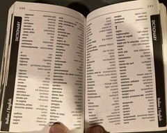 Italian Phrase Book and Dictionary by Rick Steves