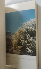 The Canary Islands; Mythical, Historical, Present; Yann Evan; Vintage; VG