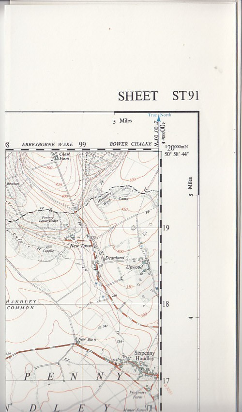 Ordnance Survey (OS) 1:25,000 First Series Map Sheet ST 91 Tollard Royal
