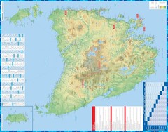 Lonely Planet Lonely Planet Tasmania Planning Map (Map) Map