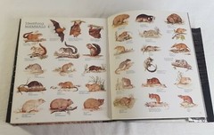 VTG Illustrated Guide to the Game Parks and Nature Reserves Southern Africa 1983