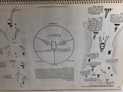 Evergreen Pacific River Cruising Atlas: Columbia, Willamette & Snake 1991
