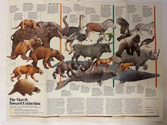 National Geographic :- The March Towards Extinction, A New View. June 1989 VGC