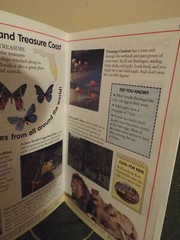 DK Travel Guide Kids’ Florida