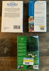 Asian Travel pack, Lonely Planet x 2 – Bhutan & Vietnam, AA Singapore & Buddhism