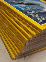1984 National Geographic Magazine Full Year ~ 12 Issues ~ Good Condition
