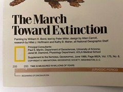 National Geographic :- The March Towards Extinction, A New View. June 1989 VGC