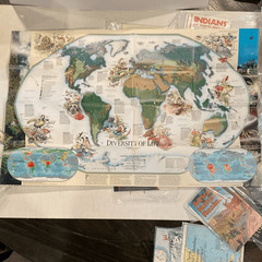 VTG Maps Posters Variety Lot of 78 World Universe Continent Biology Nat Geo READ