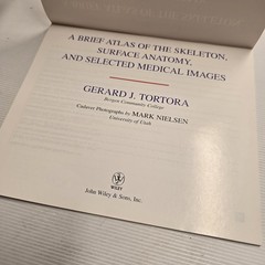 A Brief Atlas of the Skeleton, Surface Anatomy, Medical Images – Gerard J